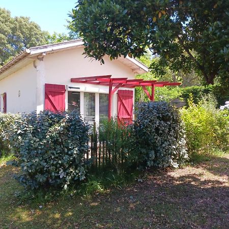 Maisonnette Proche De La Plage Tarnos Kültér fotó