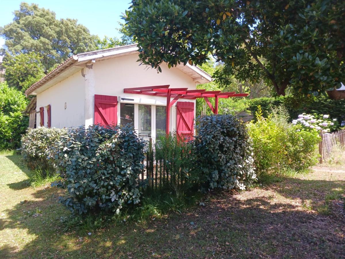 Maisonnette Proche De La Plage Tarnos Kültér fotó